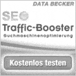 seo-traffic-booster.de