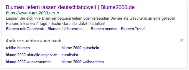 Google SERP andere suchten auch blume2000