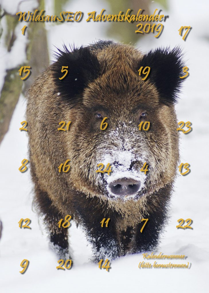 WildsauSEO Adventskalender 2019