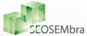 SEOSEMbra Logo