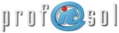 profitsol GmbH & Co. KG  Logo